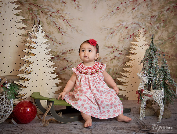 2 Navidad-5181