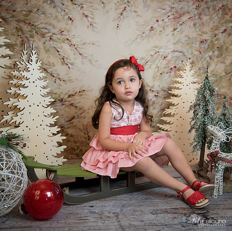 2 Navidad-5263