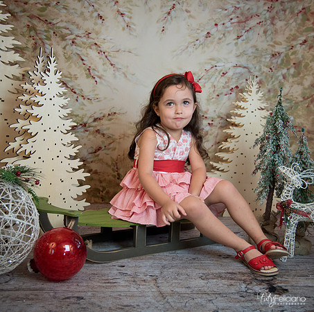 2 Navidad-5274