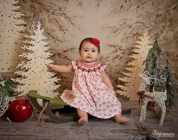 2 Navidad-5198