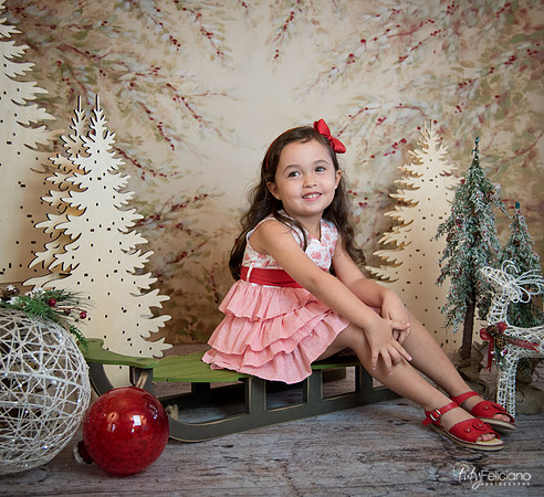 2 Navidad-5301