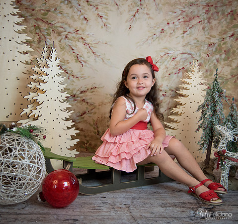 2 Navidad-5305