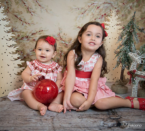 2 Navidad-5386