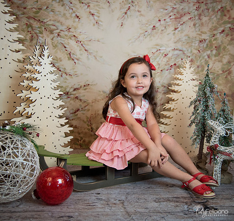 2 Navidad-5295