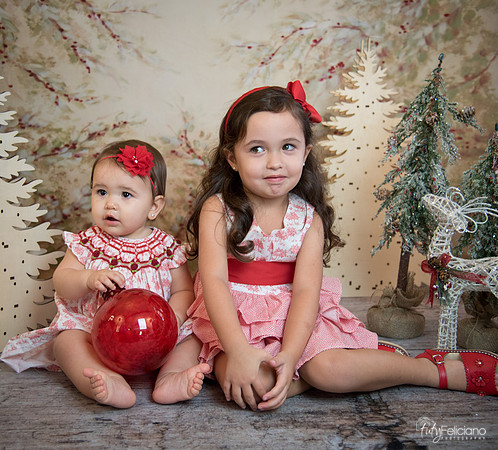 2 Navidad-5387