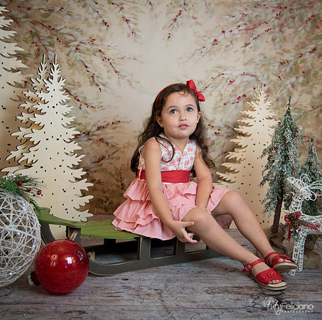 2 Navidad-5269