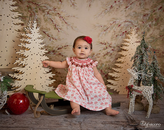 2 Navidad-5199