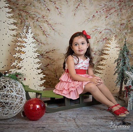 2 Navidad-5277