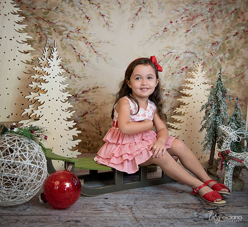 2 Navidad-5309