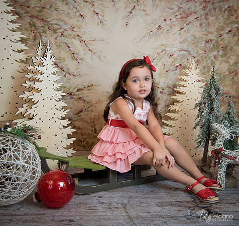 2 Navidad-5289