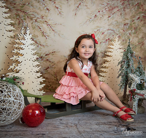 2 Navidad-5291