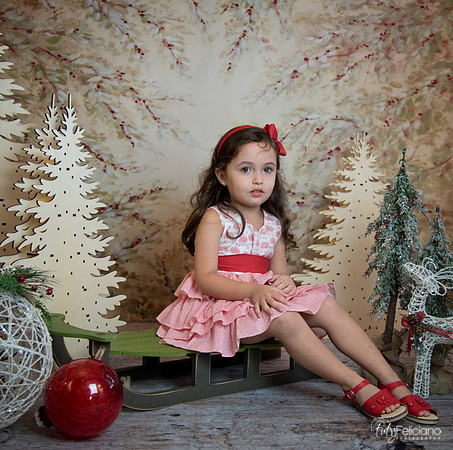 2 Navidad-5255