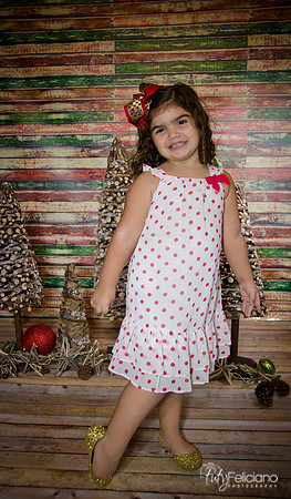 Navidad 2014-1162