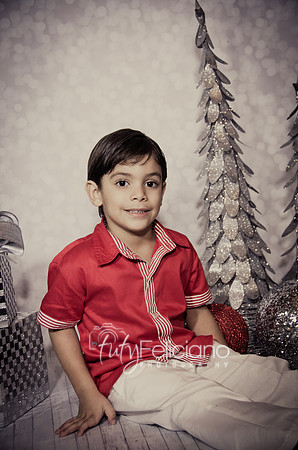 Shoooting navideno 2013-2-2969