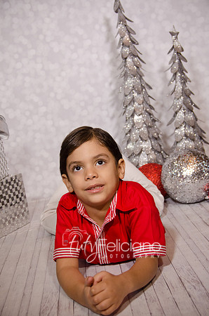 Shoooting navideno 2013-2-3025