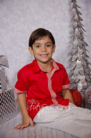 Shoooting navideno 2013-2-2963