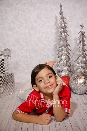 Shoooting navideno 2013-2-3032