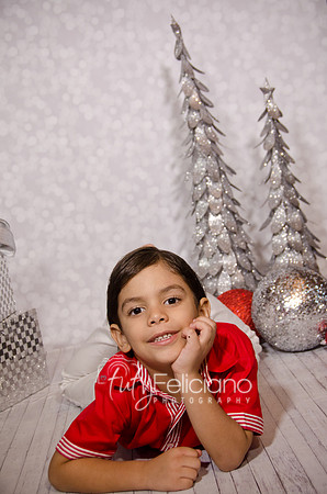 Shoooting navideno 2013-2-3027