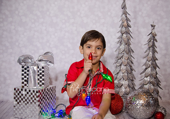 Shoooting navideno 2013-2-2972