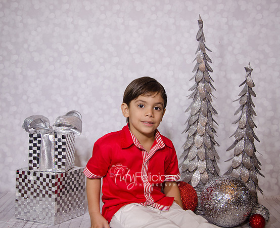 Shoooting navideno 2013-2-2971