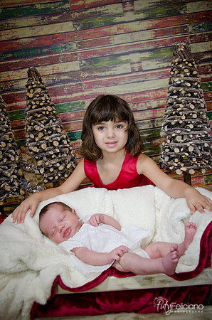Navidad2014-121767