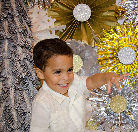Navidad 3 2014-4239