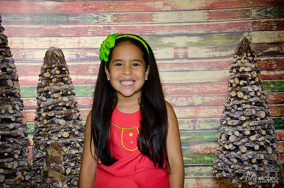 Navidad 3 2014-3963