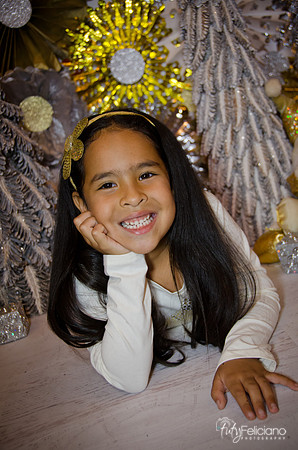 Navidad 3 2014-4188