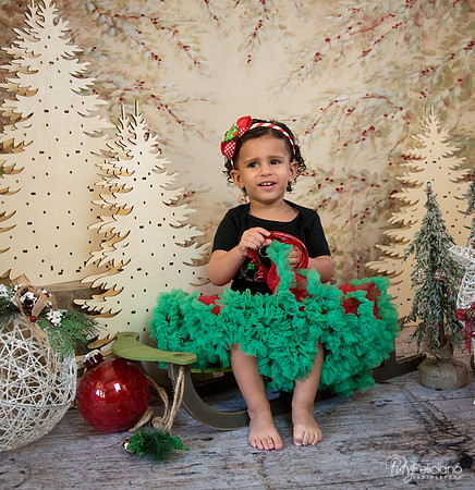 Navidad-13605