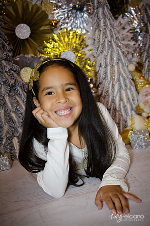 Navidad 3 2014-4181