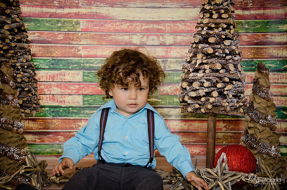 Navidad 3 2014-2125