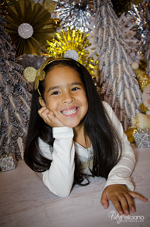 Navidad 3 2014-4182