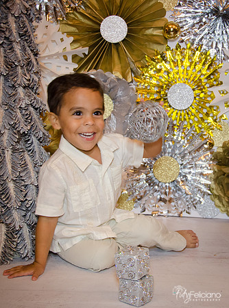 Navidad 3 2014-4236