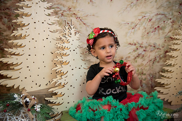 Navidad-13665