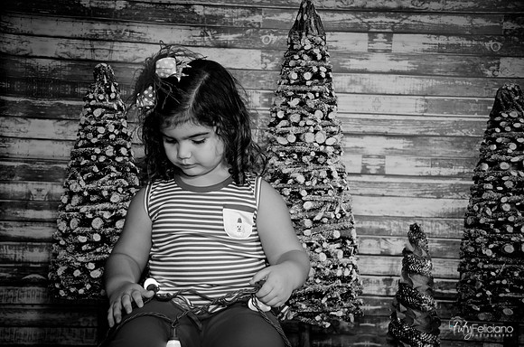 Navidad 2014-1576