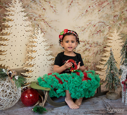 Navidad-13617
