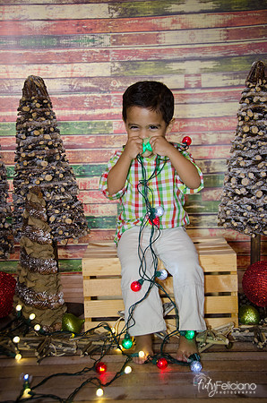 Navidad 3 2014-3997