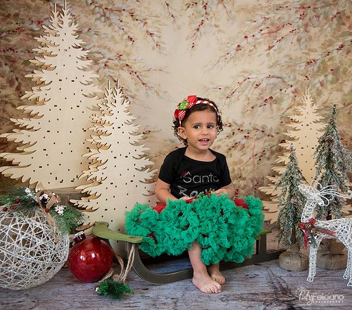 Navidad-13525
