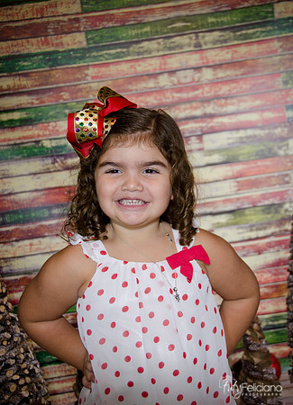 Navidad 2014-1203