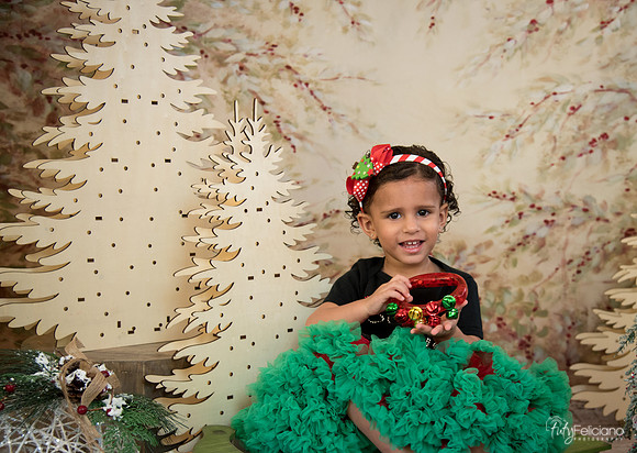 Navidad-13613