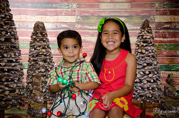 Navidad 3 2014-4107