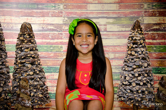 Navidad 3 2014-3959