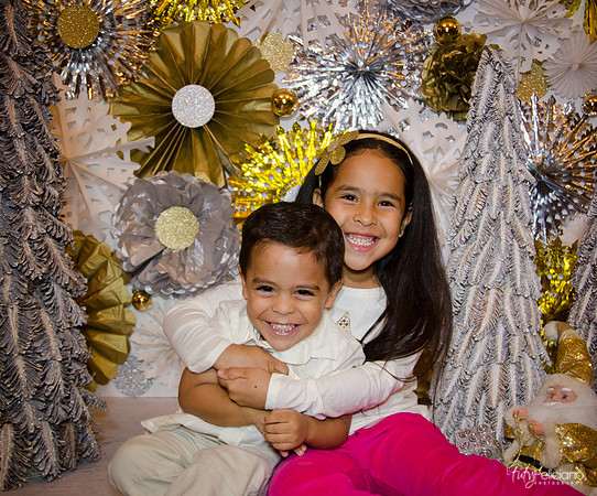 Navidad 3 2014-4214
