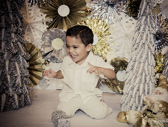 Navidad 3 2014-4248