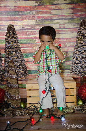 Navidad 3 2014-3998