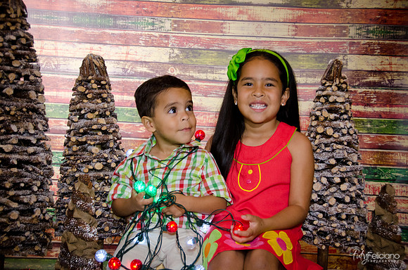 Navidad 3 2014-4100