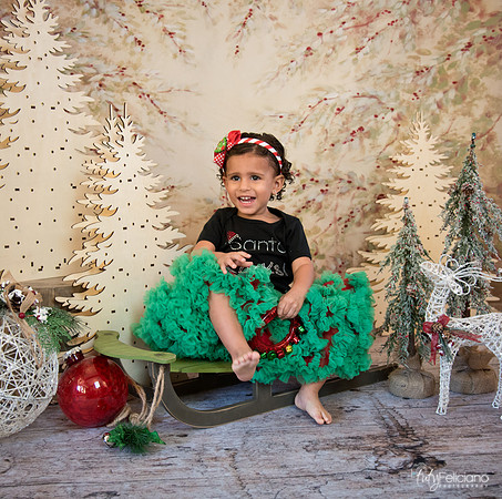 Navidad-13567