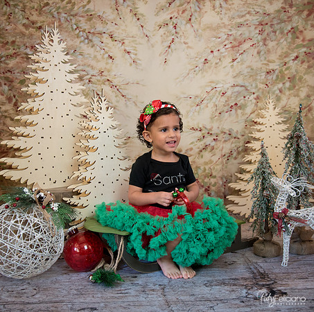 Navidad-13550