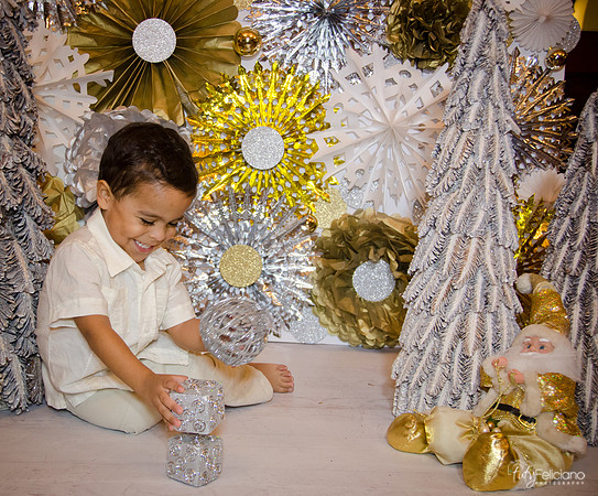 Navidad 3 2014-4234