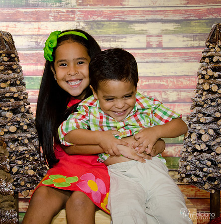 Navidad 3 2014-3988